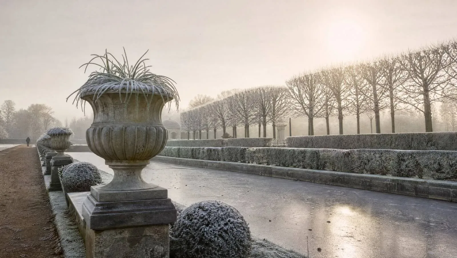 Hoar frost on bare pleached limes beside a frozen ornamental canal